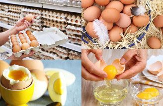 Vajcia: Čo potrebujete vedieť o ich pôvode, skladovaní a varení