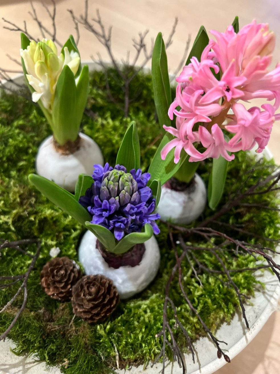 ako predĺžíť životnosť hyacintom v jarnej dekorácii