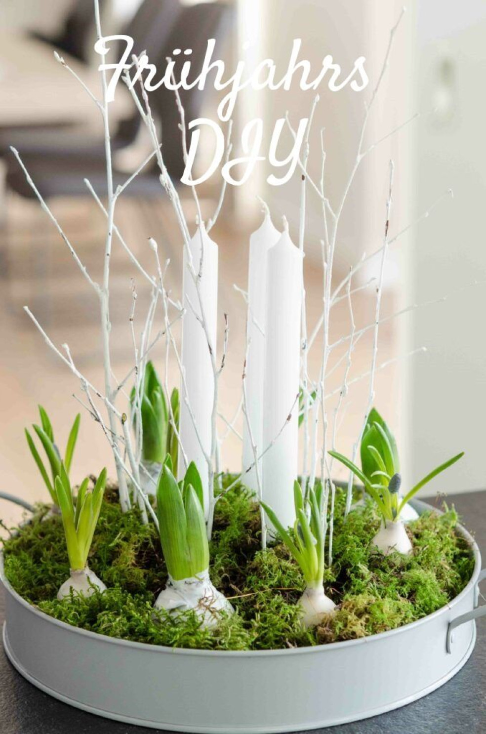 jarná dekorácia s voskovanými hyacintami